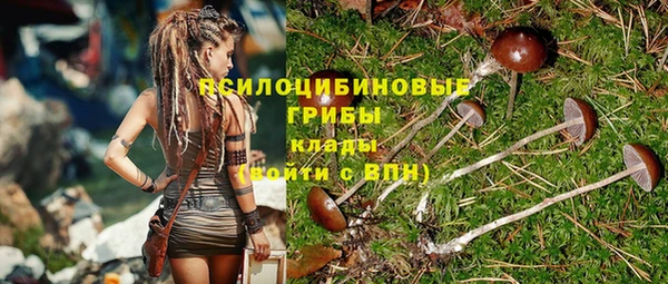 мяу мяу мука Богданович